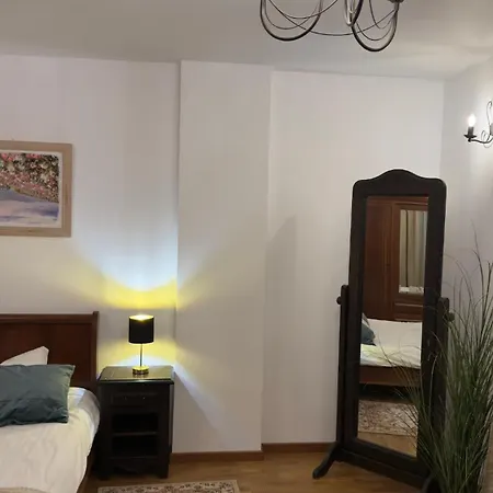 Апартаменты Vintage Luxury Flat Клуж-Напока