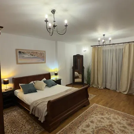 Апартаменты Vintage Luxury Flat Клуж-Напока