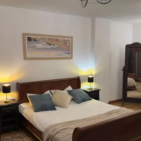 Lägenhet Vintage Luxury Flat Cluj-Napoca