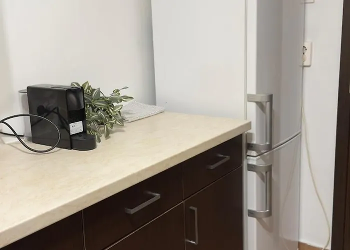 Vintage Luxury Flat Apartment Cluj-Napoca